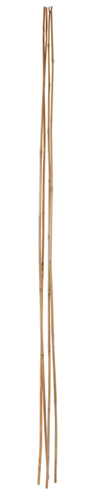 Bambupinne 180 cm 4-pack Home>it